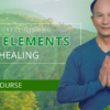 NEW Five Elements Self-Healing Main Course