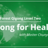 Level Two - Qigong for Healing Self-Study Courses